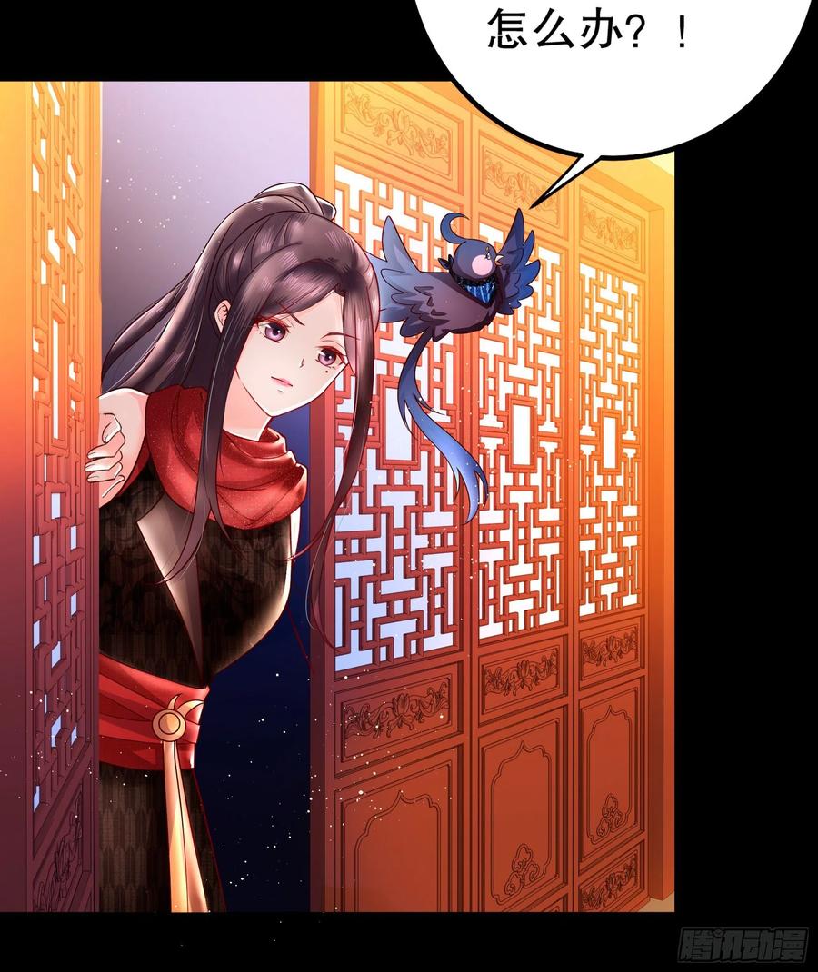 皇后必须我来当003：手撕贵妃