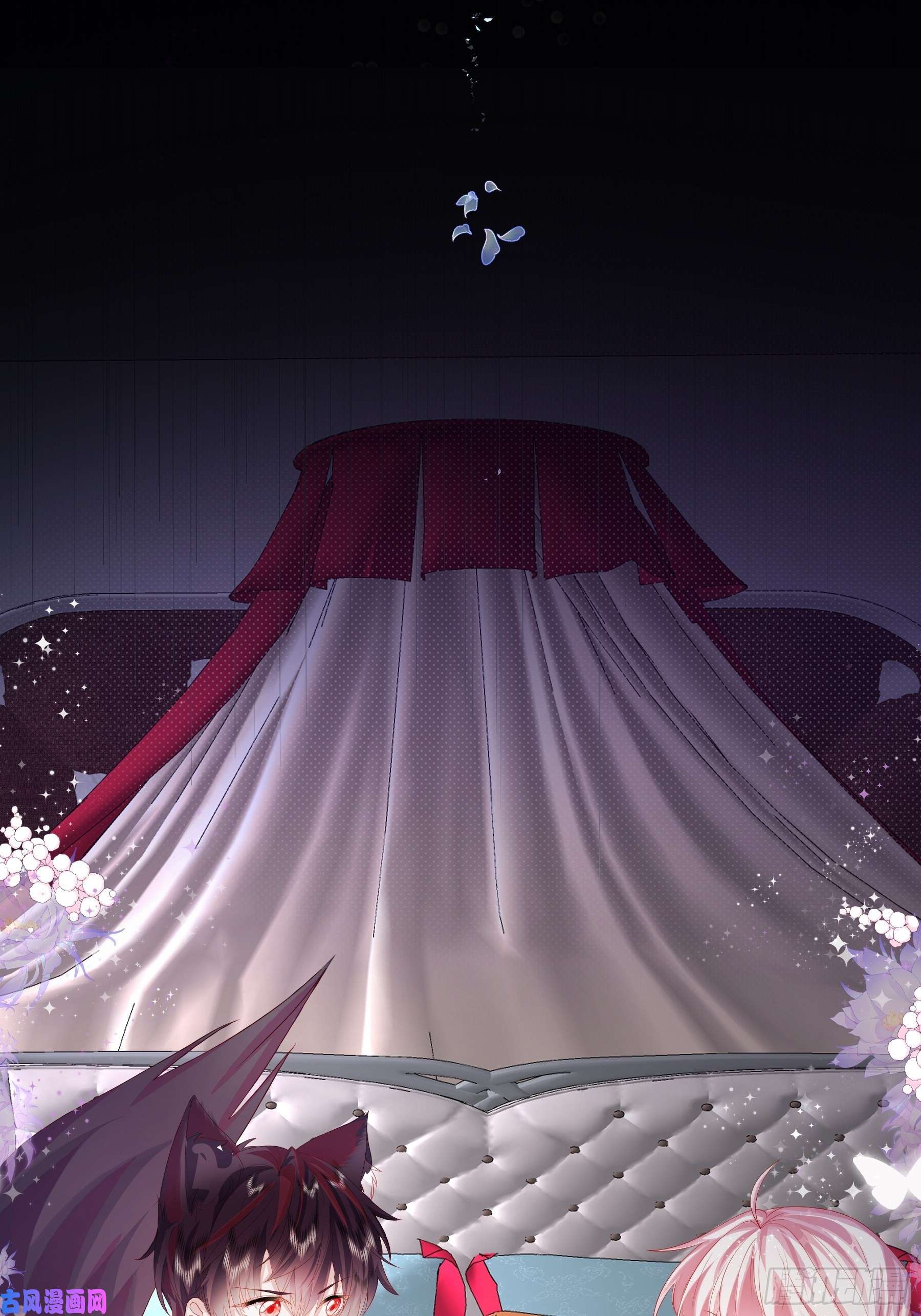亲爱的妮妮塔第3话 狼崽出现