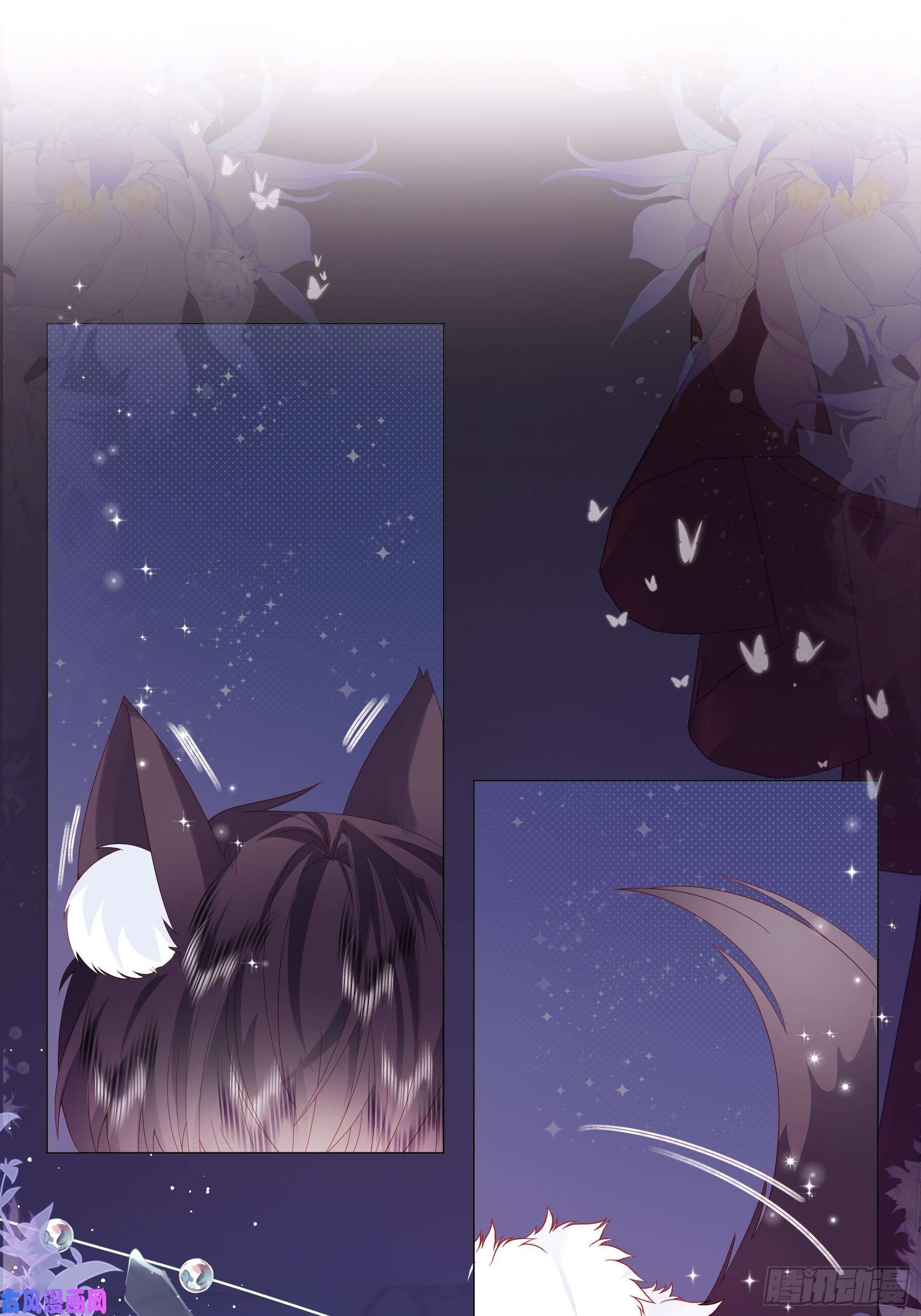 亲爱的妮妮塔第3话 狼崽出现
