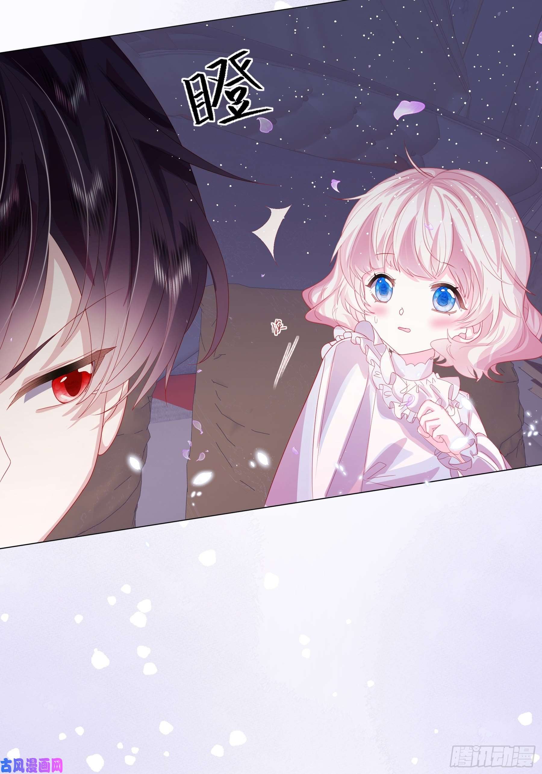 亲爱的妮妮塔第3话 狼崽出现