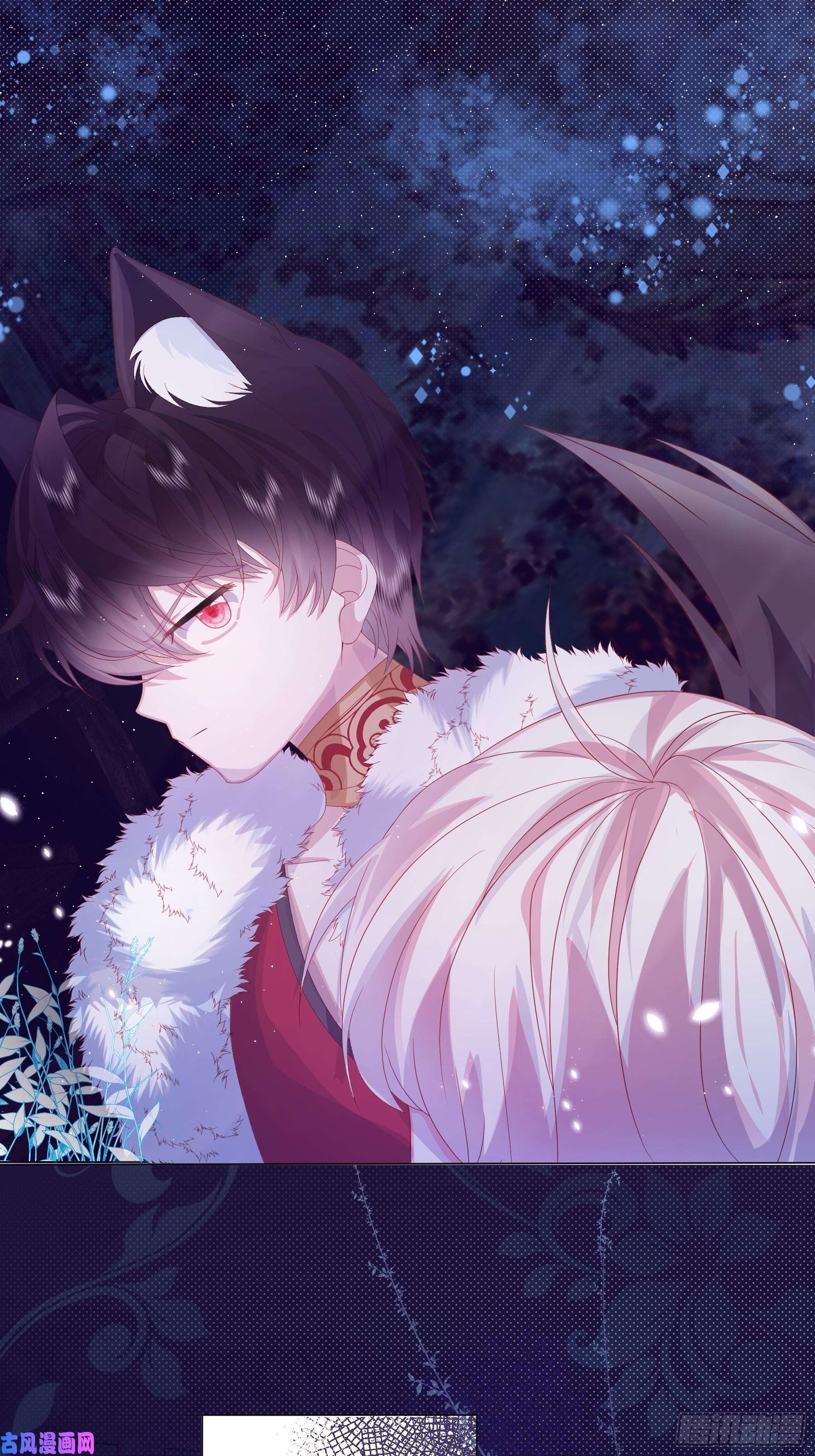 亲爱的妮妮塔第3话 狼崽出现