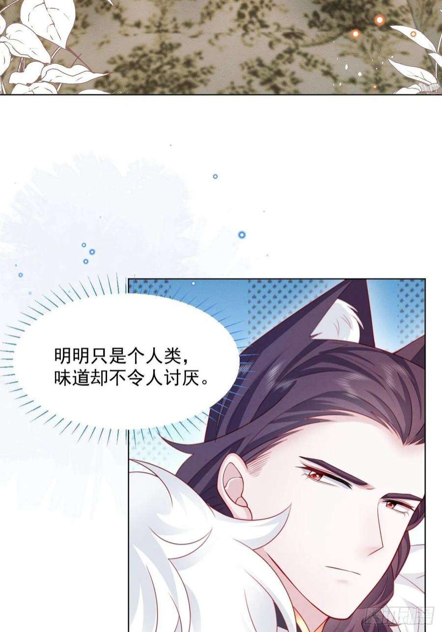 亲爱的妮妮塔45话 妮妮塔的身份