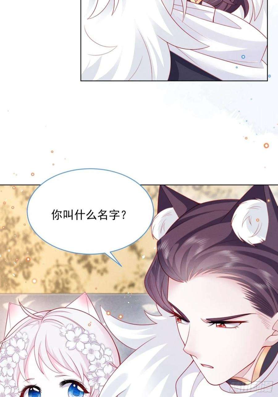 亲爱的妮妮塔45话 妮妮塔的身份