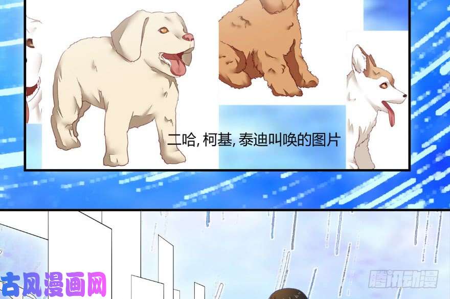 我修的可能是假仙第三话