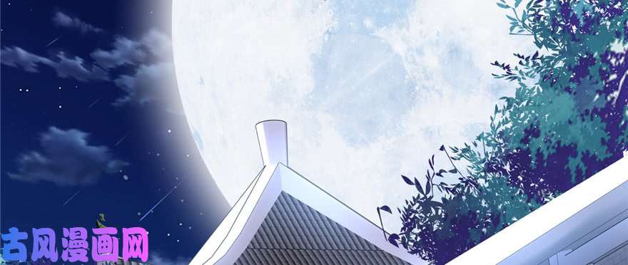 我修的可能是假仙005 系统修仙初体验