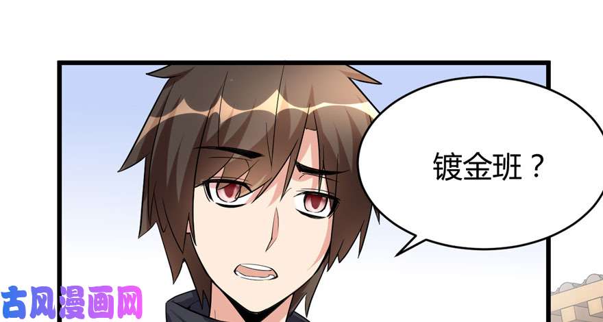 我修的可能是假仙010 给安林的战书