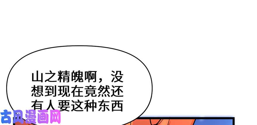 我修的可能是假仙018 山之精魄