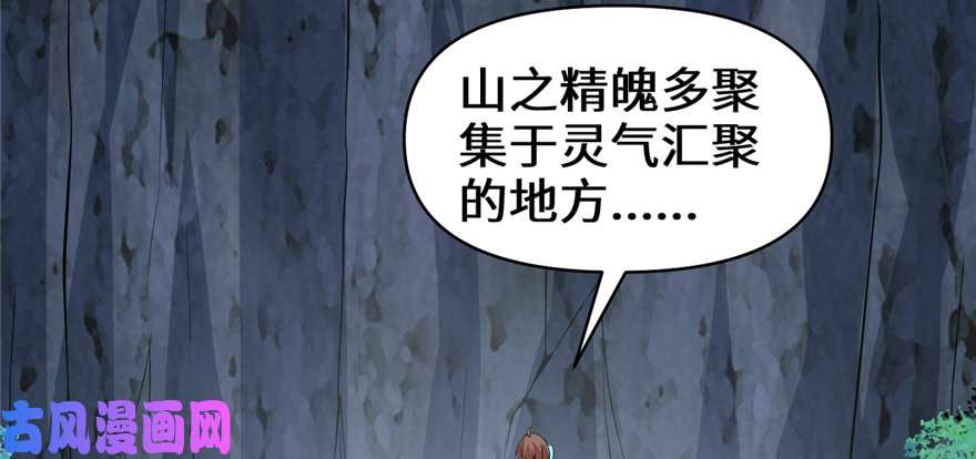 我修的可能是假仙018 山之精魄