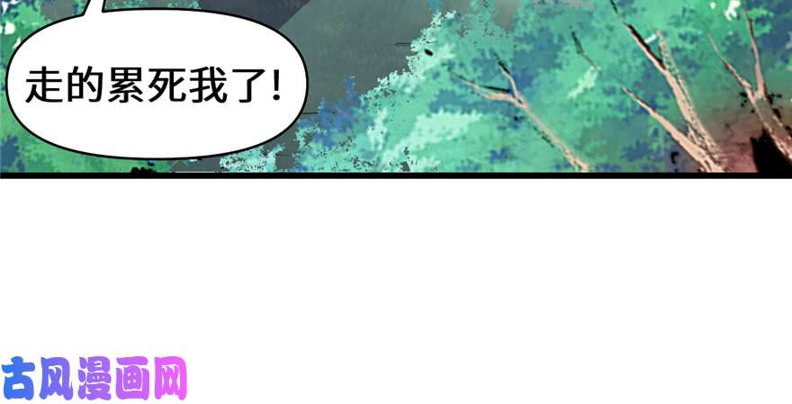 我修的可能是假仙018 山之精魄