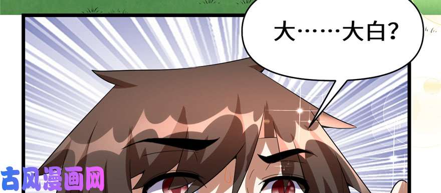 我修的可能是假仙026 突破！