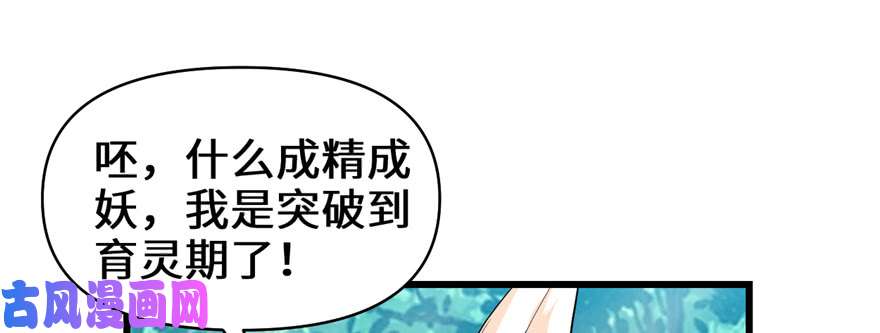 我修的可能是假仙026 突破！