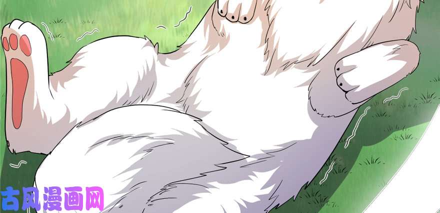 我修的可能是假仙026 突破！