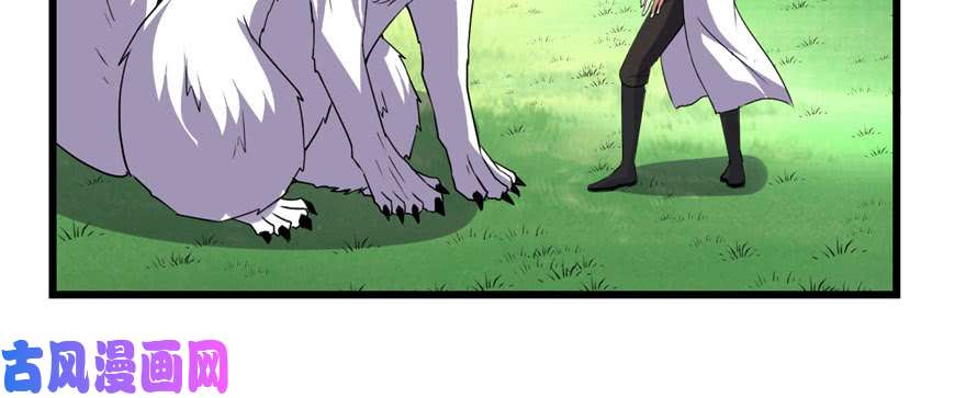 我修的可能是假仙028 许小兰战败！