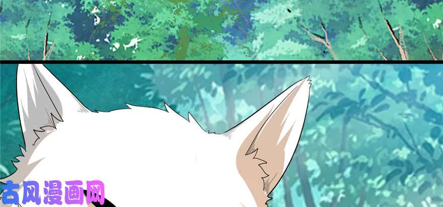 我修的可能是假仙028 许小兰战败！