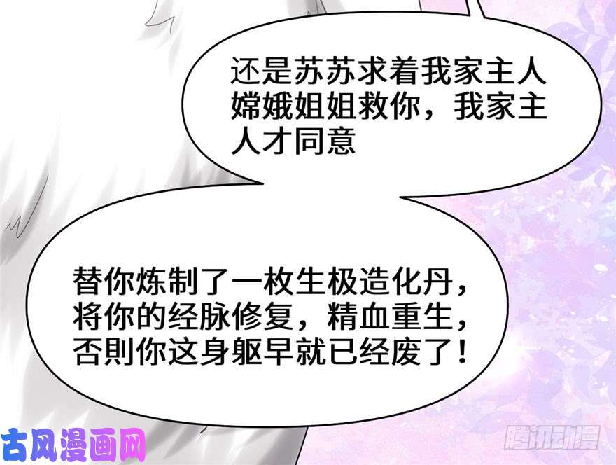 我修的可能是假仙031 安林炸了