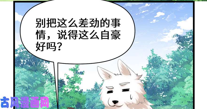 我修的可能是假仙031 安林炸了