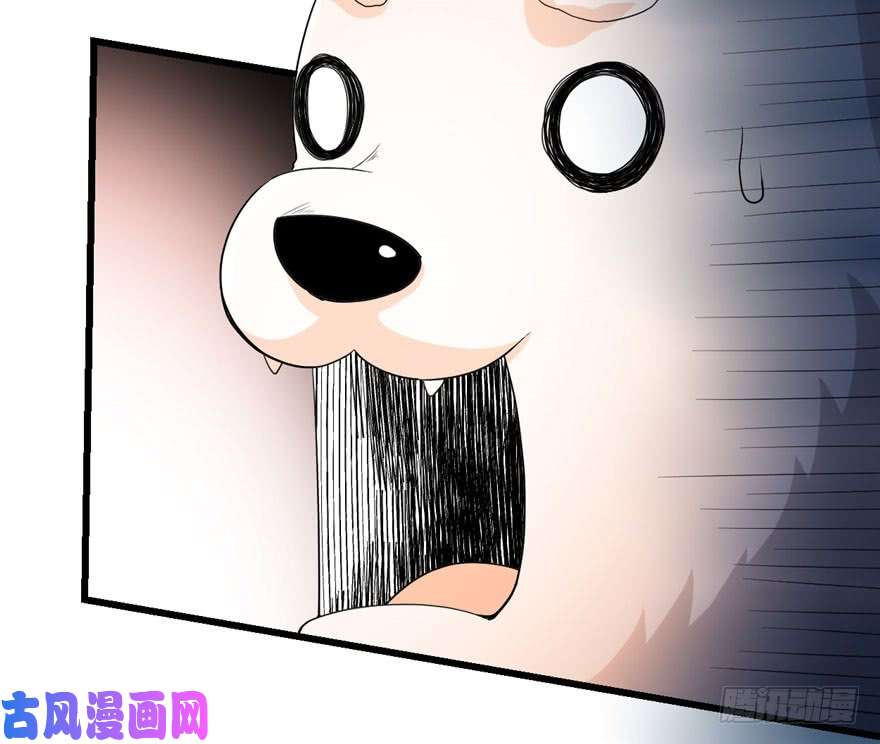 我修的可能是假仙031 安林炸了