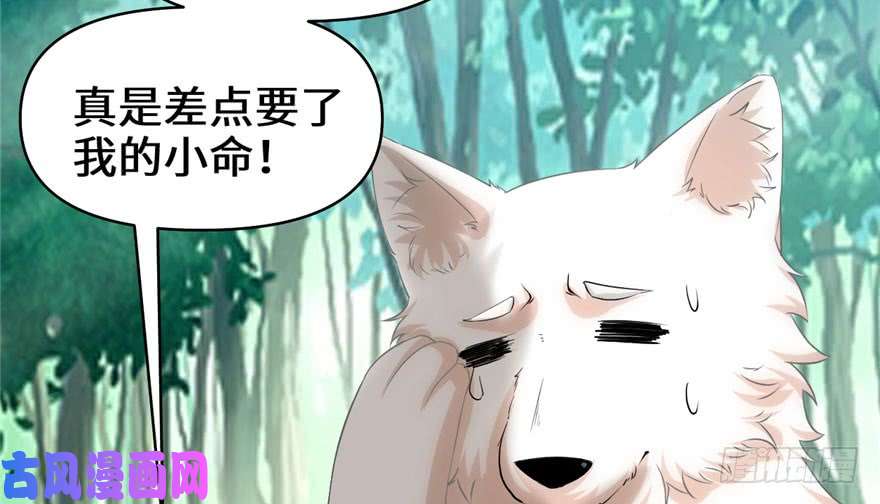 我修的可能是假仙031 安林炸了