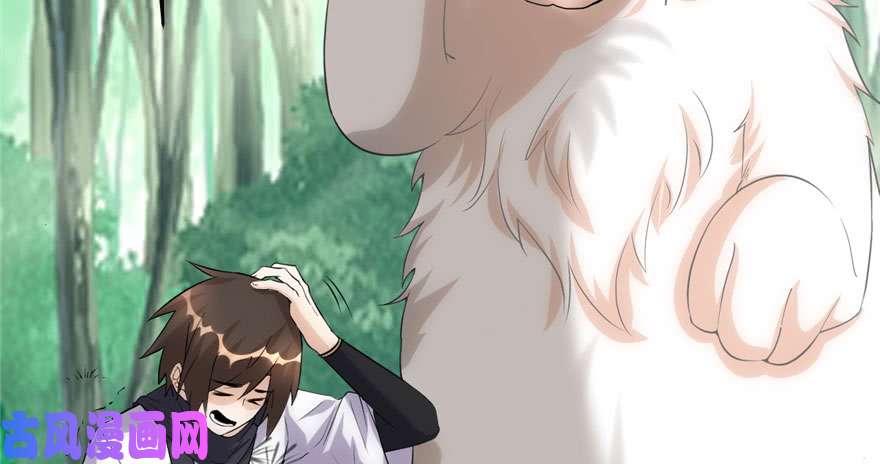 我修的可能是假仙031 安林炸了