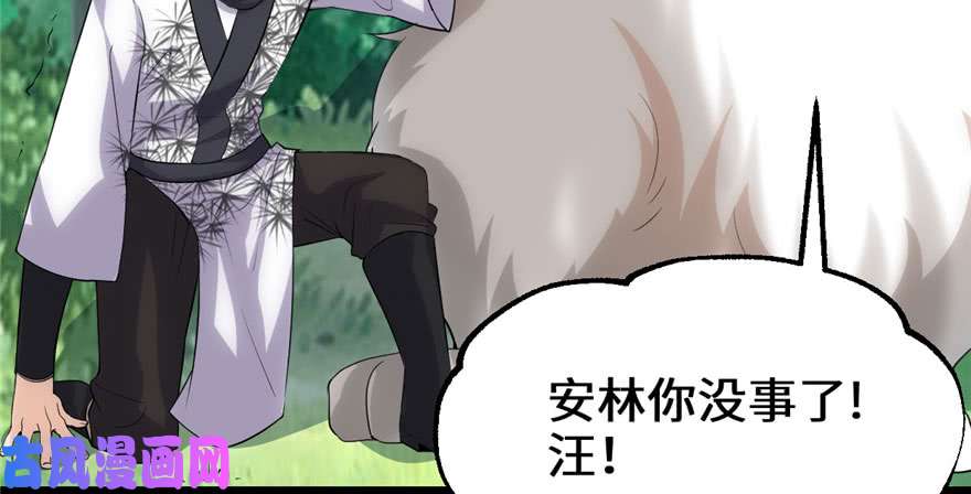 我修的可能是假仙031 安林炸了