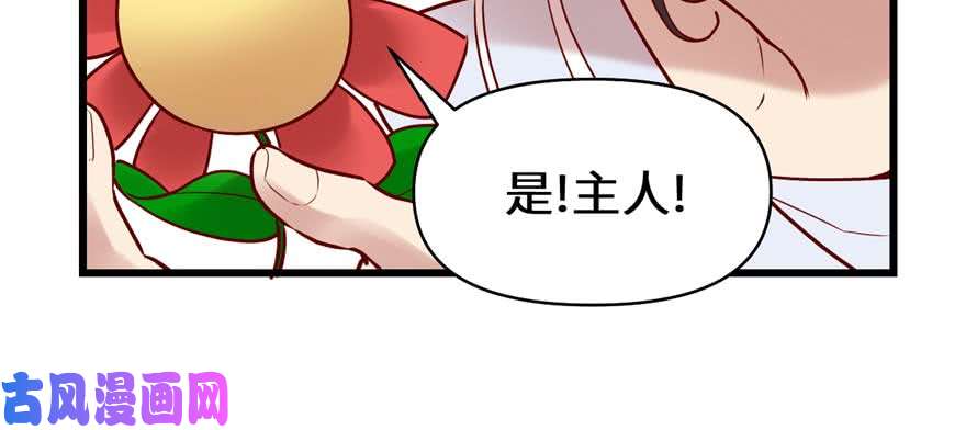 我修的可能是假仙046 女装安林！