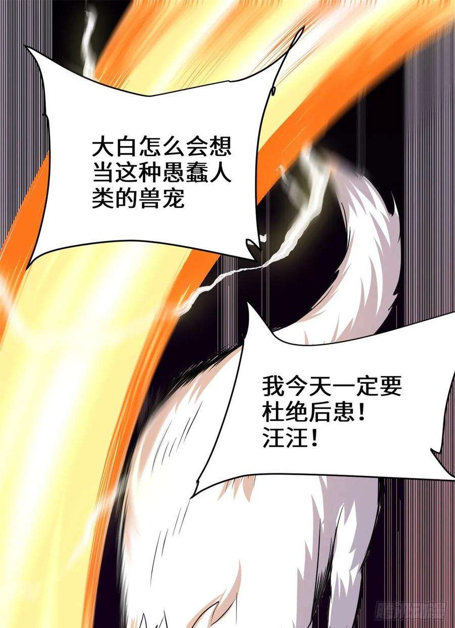 我修的可能是假仙095 大白的选择