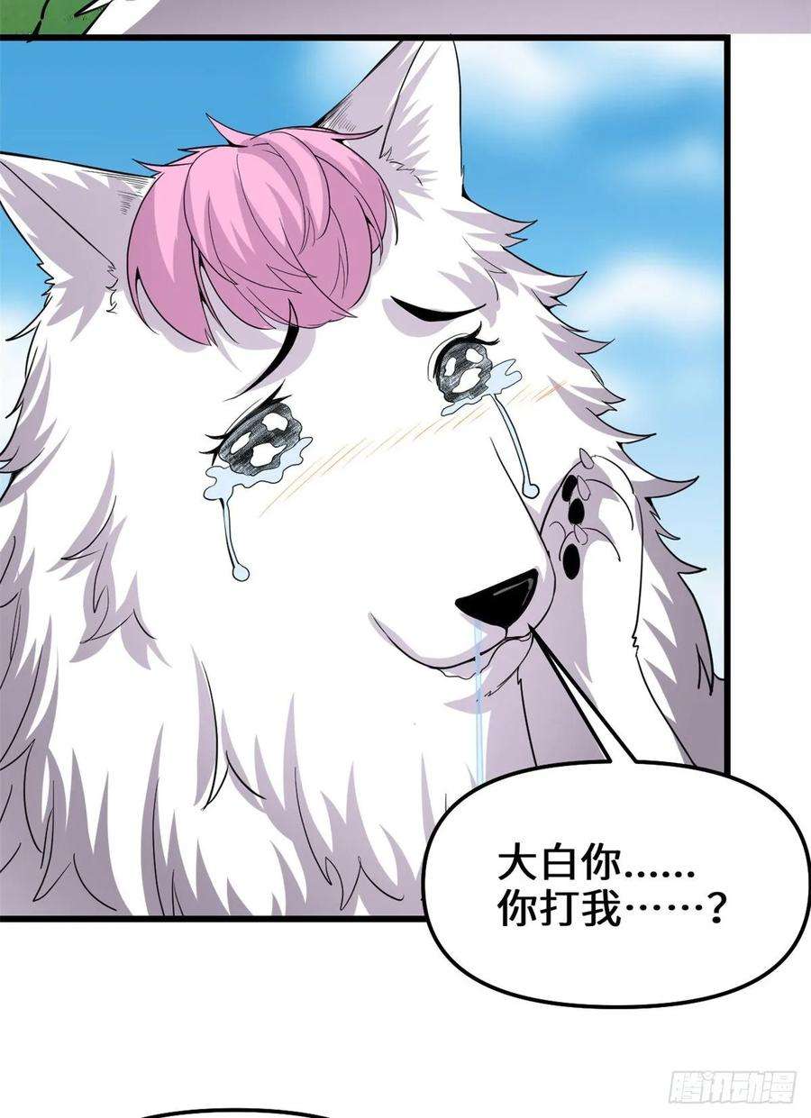 我修的可能是假仙095 大白的选择