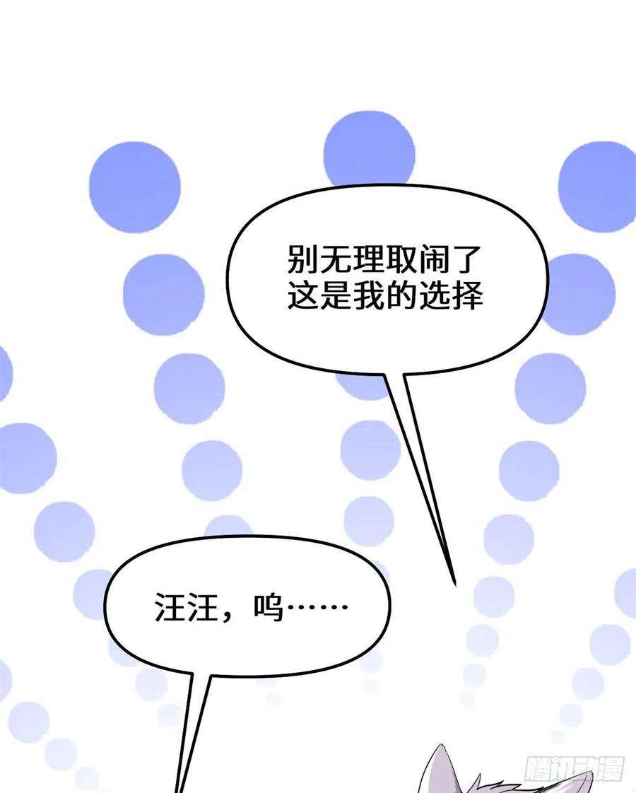 我修的可能是假仙095 大白的选择