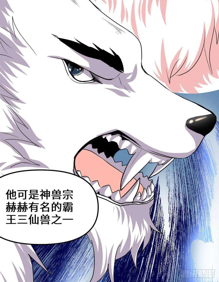 我修的可能是假仙095 大白的选择