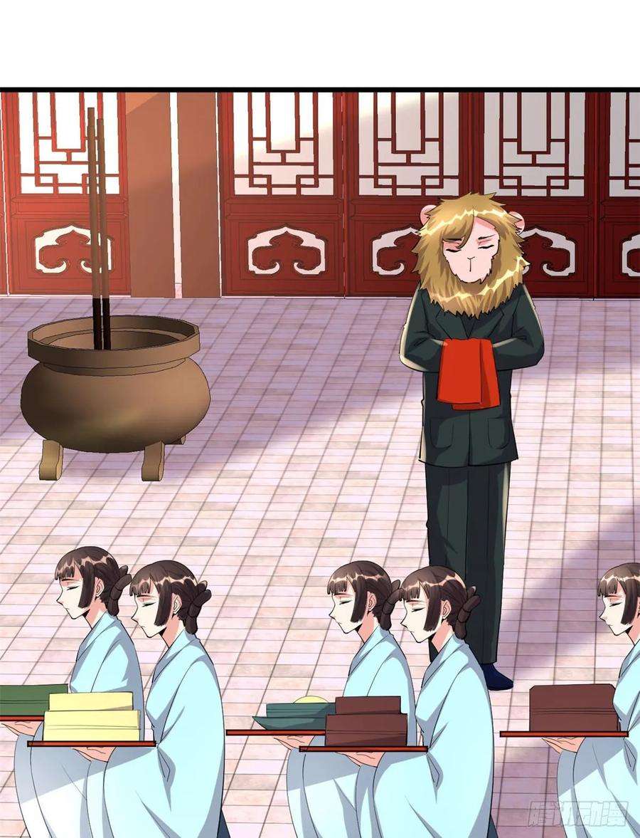 我修的可能是假仙095 大白的选择