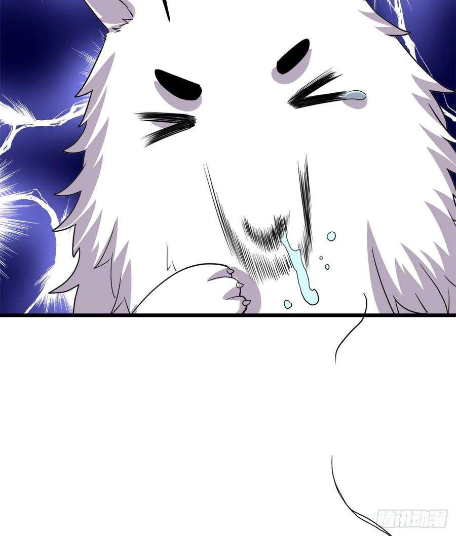 我修的可能是假仙095 大白的选择