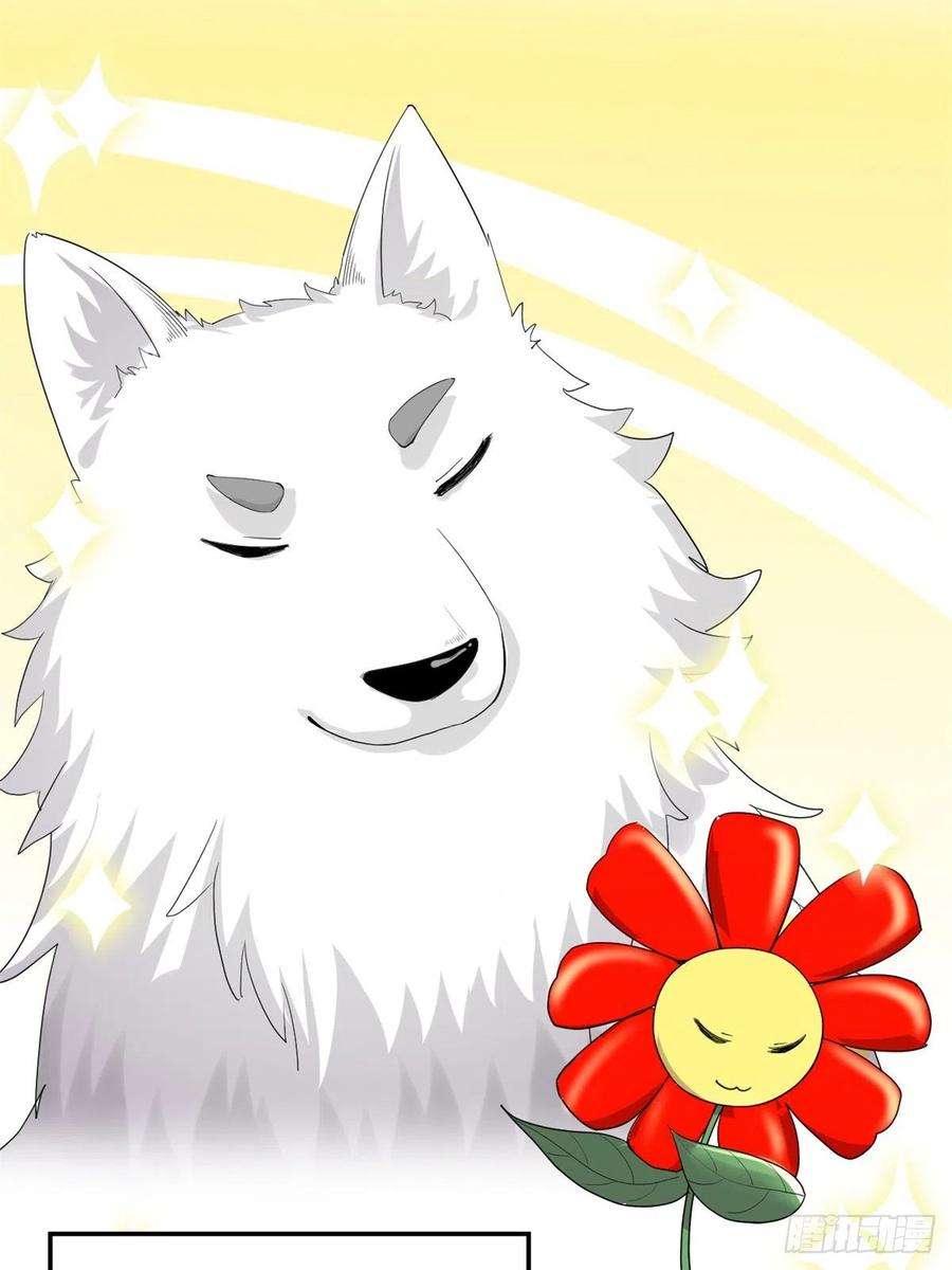 我修的可能是假仙144 时光荏苒