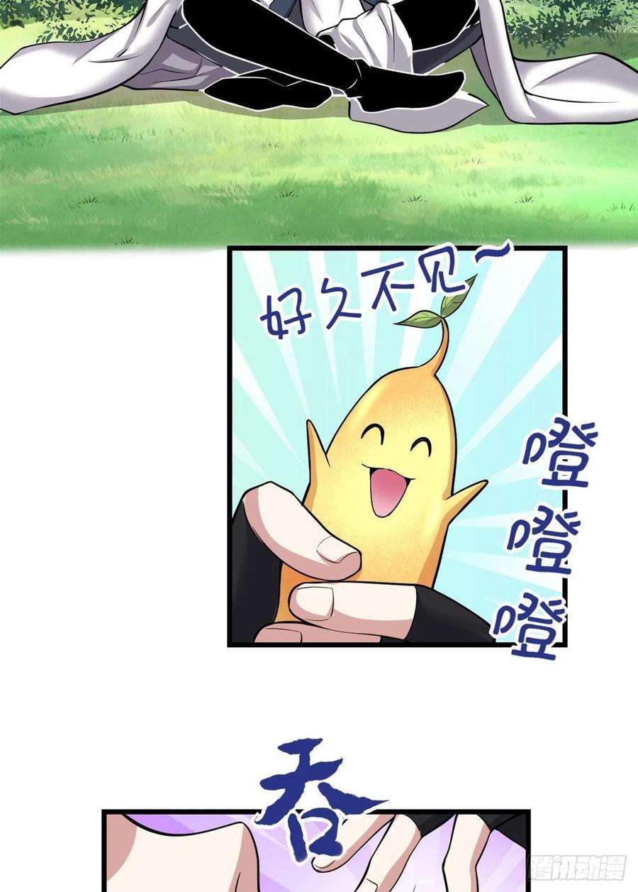 我修的可能是假仙231 化神渡劫