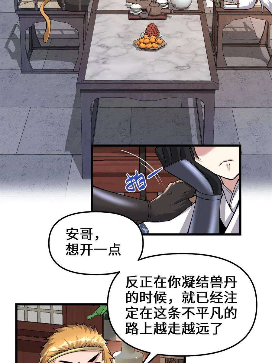 我修的可能是假仙234 小兔减肥