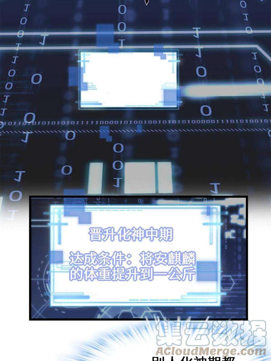 我修的可能是假仙234 小兔减肥
