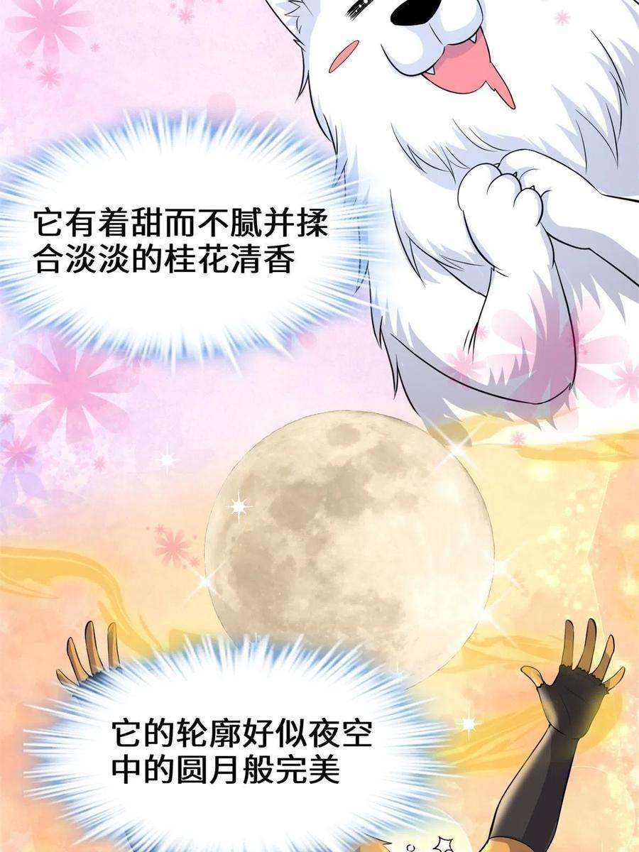 我修的可能是假仙234 小兔减肥