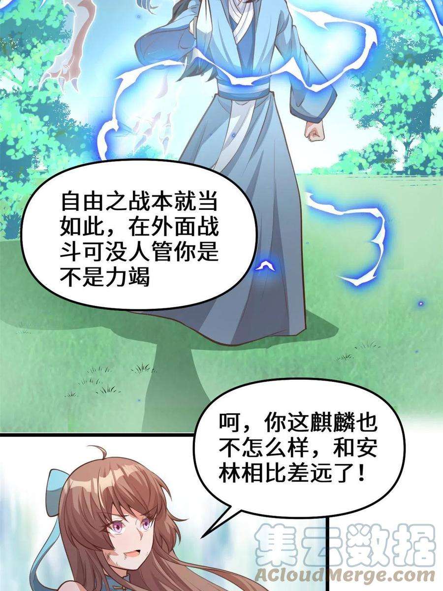 我修的可能是假仙240 和安林差远了