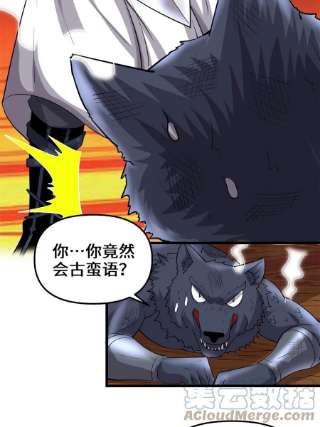 我修的可能是假仙252 投不投降