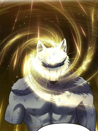 我修的可能是假仙252 投不投降