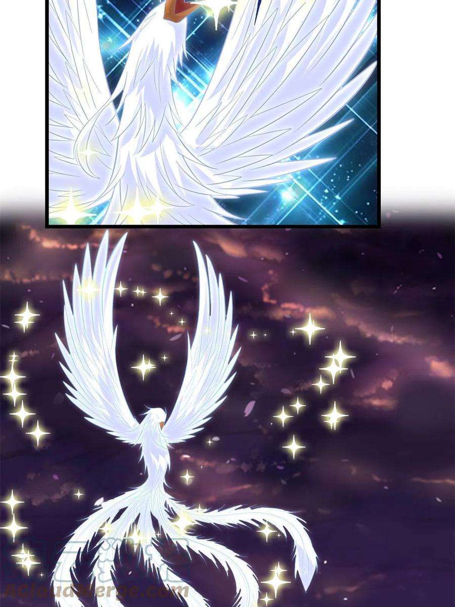 我修的可能是假仙256 跟我装逼？！