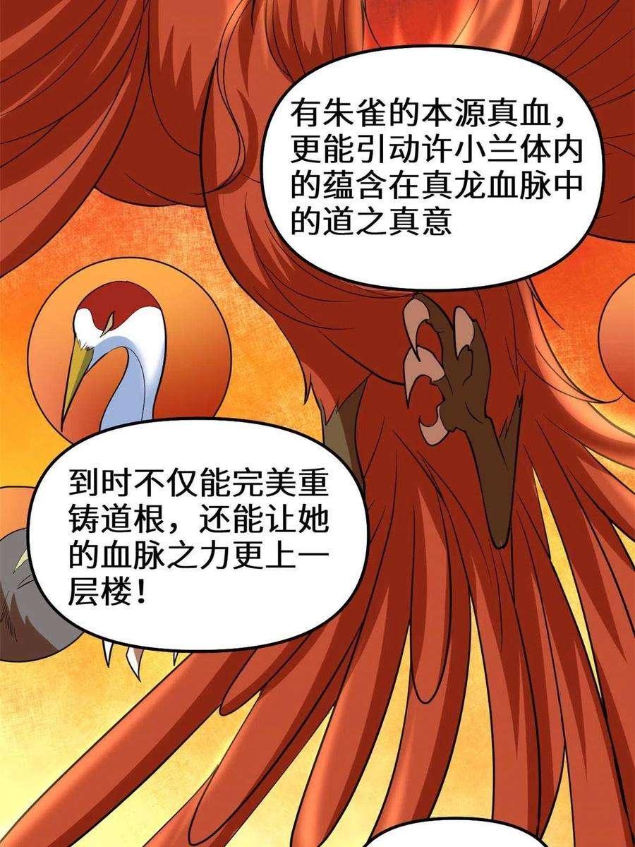 我修的可能是假仙276 道法重塑