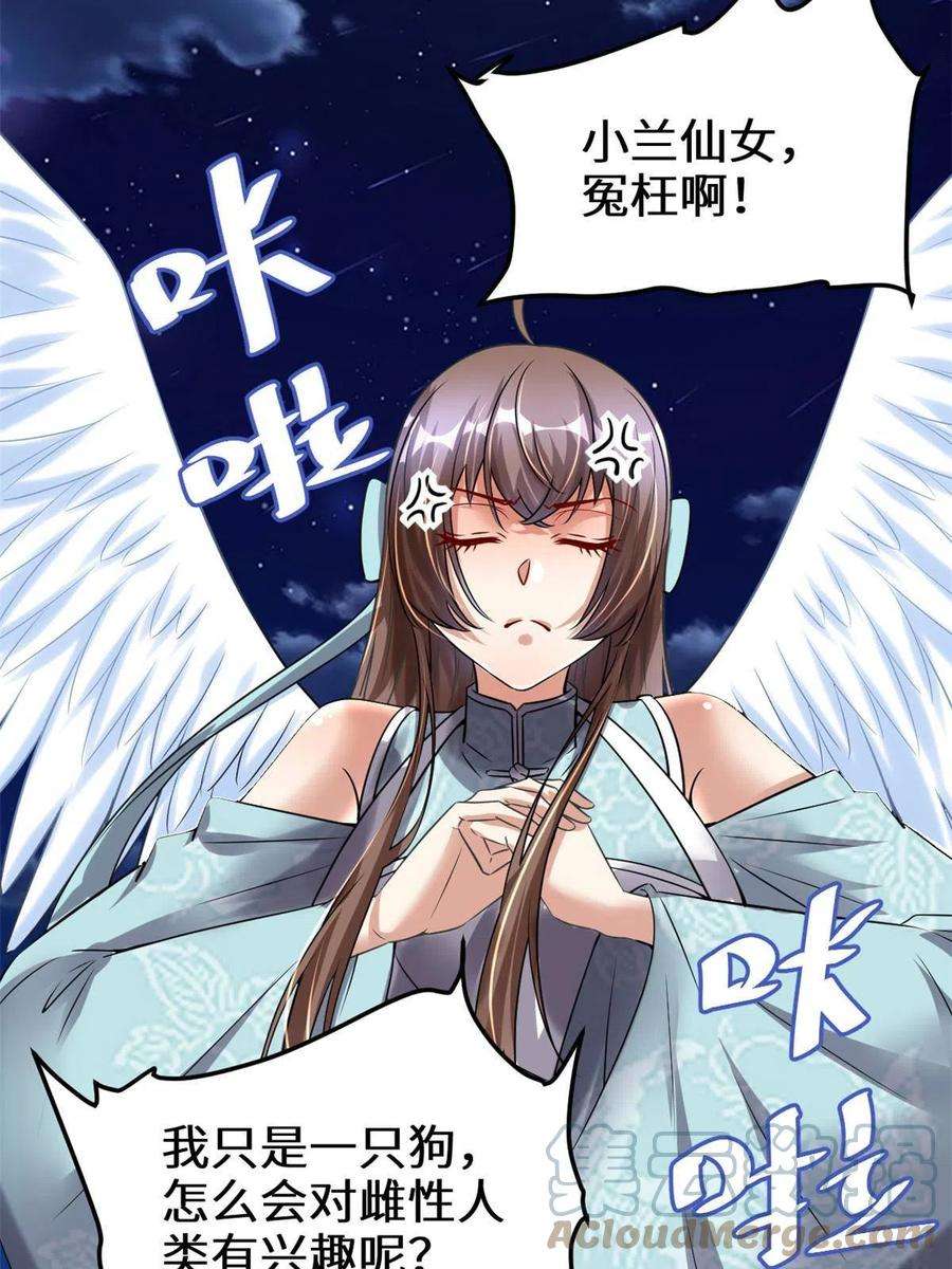 我修的可能是假仙282 安林的厄运