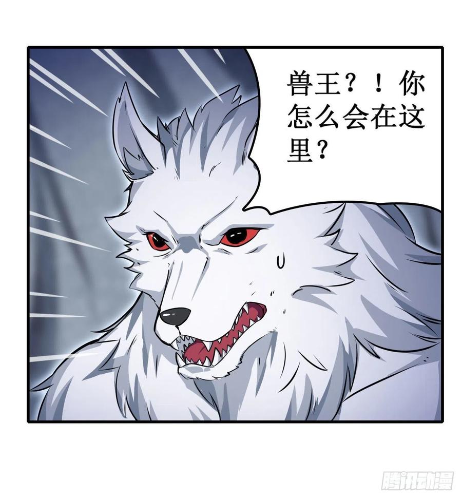 无限使徒与十二战姬103话 激昂金狮