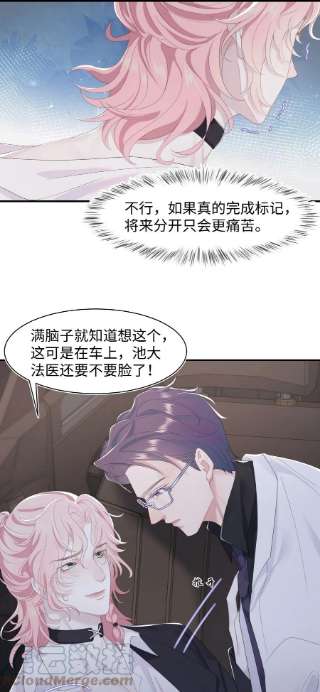 猎心爱人65话 永久标记