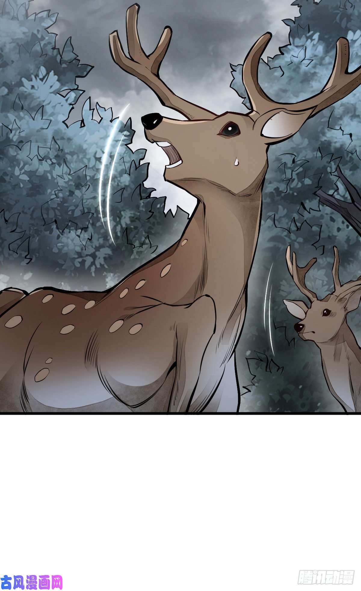 烂柯棋缘第63话