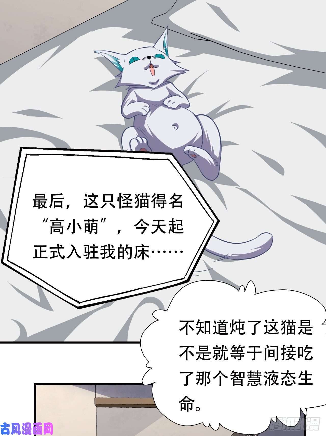 高能来袭043 高调的奢华