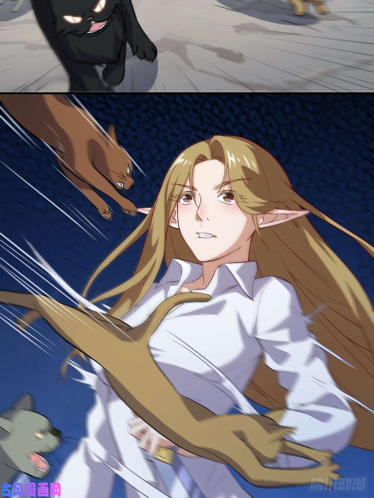 高能来袭049小萌女王