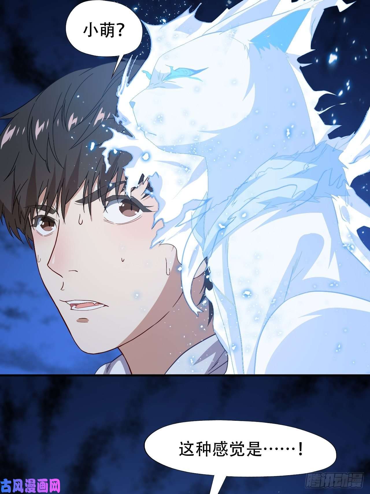 高能来袭049小萌女王