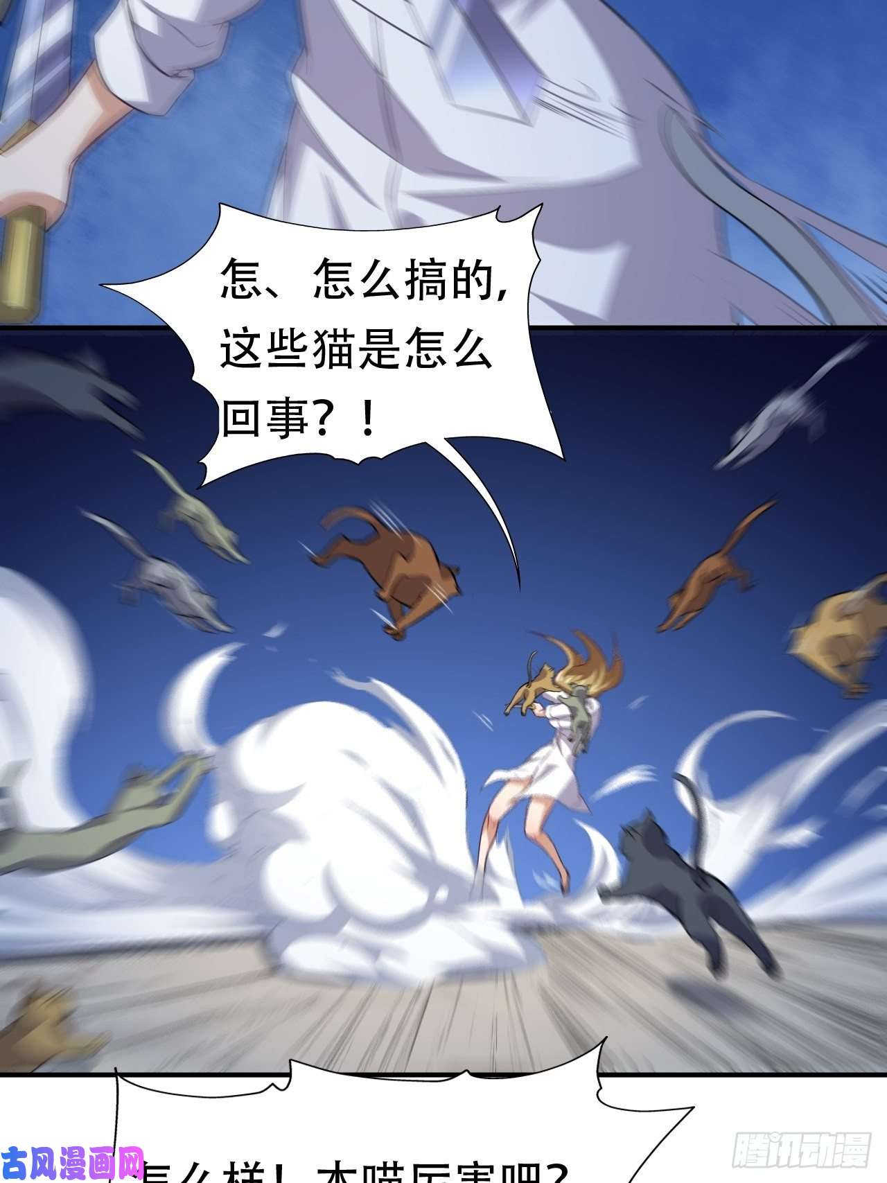 高能来袭049小萌女王