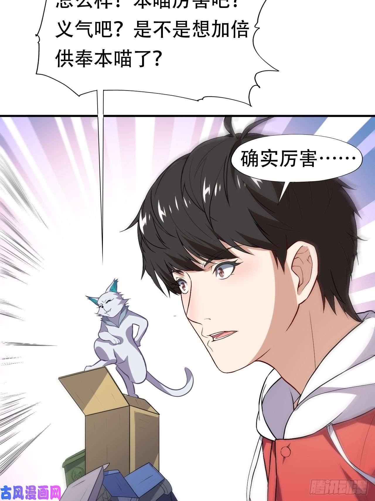 高能来袭049小萌女王